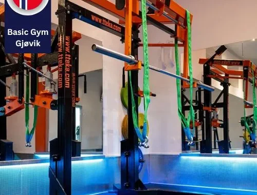 TTEKA Powerlifting: Leading the Way with World-Class Monolifts